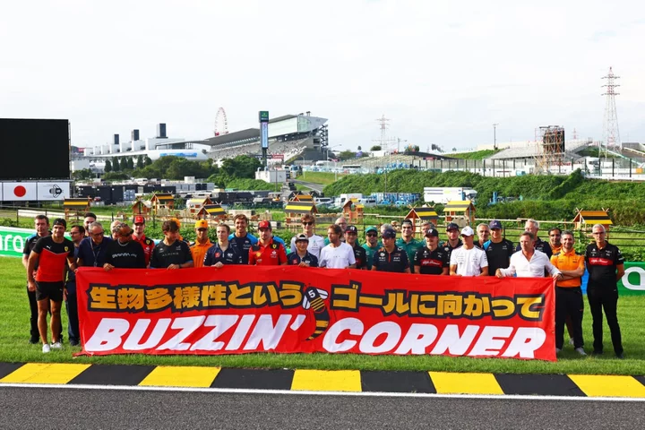 ‘Buzzin corner’: Sebastian Vettel reunites with F1 grid for ‘bee hotels’ in Japan
