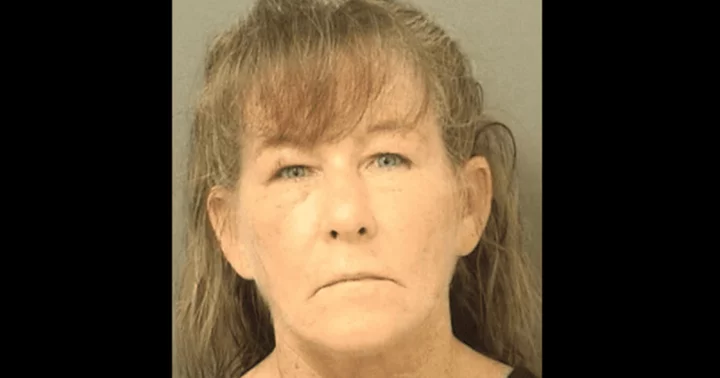 Who is Tammy Garceau? Florida woman arrested for animal cruelty after leaving her dogs to die inside a car