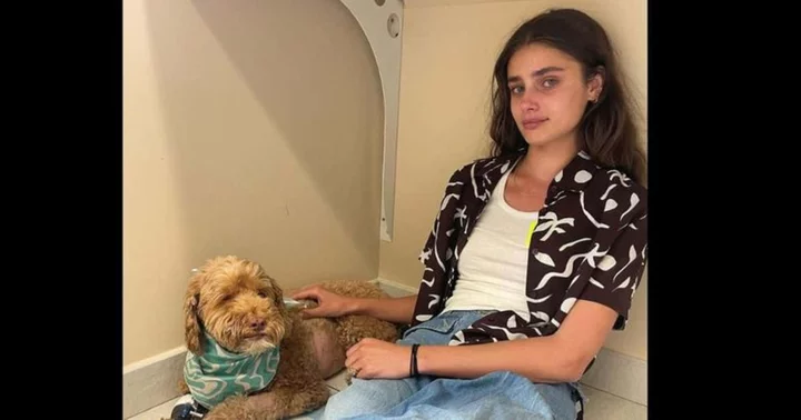 Taylor Hill breaks down in tears as her dog Tate is diagnosed with lymphoma, says 'he's my soulmate'