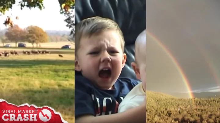 18 classic viral videos that will always be hilarious