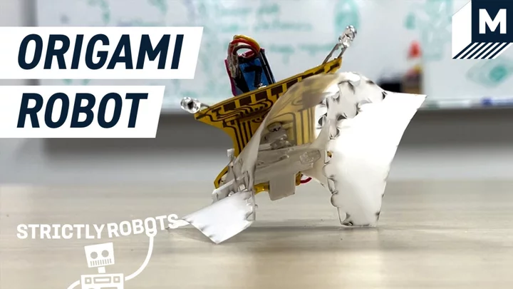 Meet the small origami robot with potential for big things