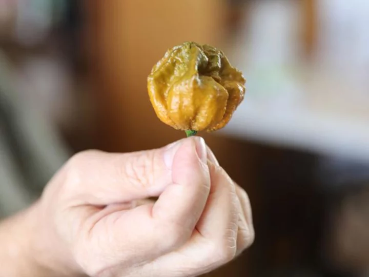 Guinness World Records declares Pepper X as world's new hottest chili pepper