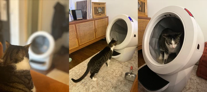 Is the Litter-Robot 4 worth $650?