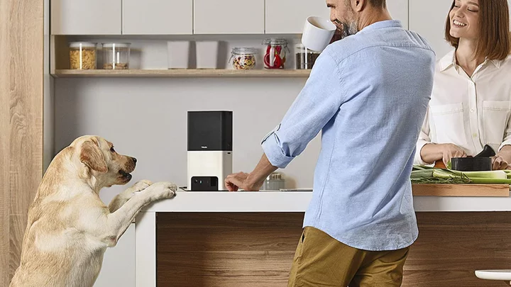 The best pet cameras for keeping tabs on your cat or dog