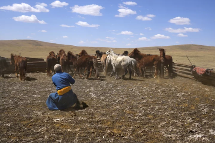 AP PHOTOS: Mongolia's herders fight climate change with their own adaptability and new technology