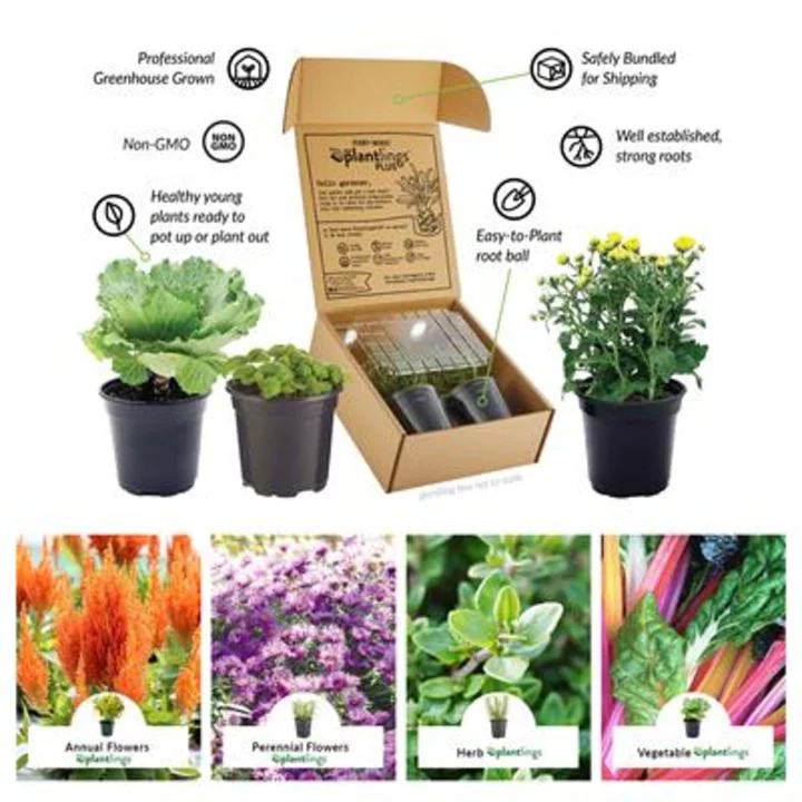 Ferry-Morse Announces Return of Fall PlantlingsPlus Line Available for Online Purchase to Help Gardeners Extend the Growing Season