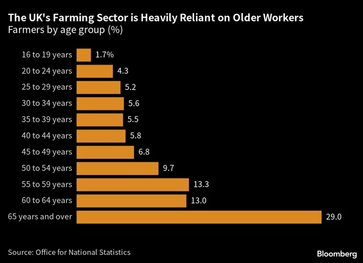 UK Farming and Trucking Most Exposed to Rise in Retiring Workers