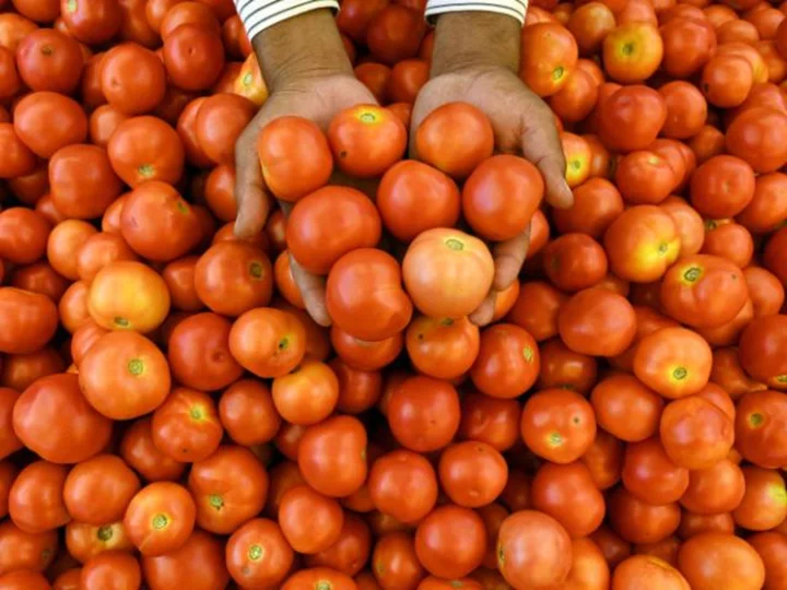 Burger King follows McDonald's in cutting tomatoes from its India menu