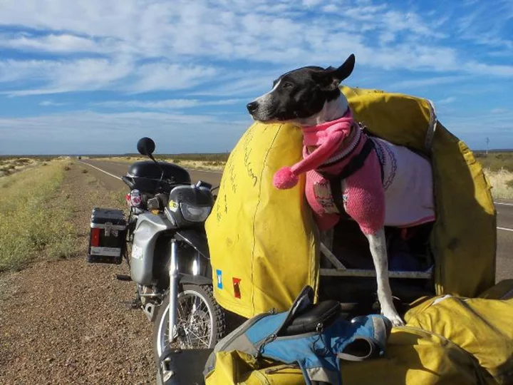This couple set off on a motorbike world tour with their beloved dog. Then tragedy struck