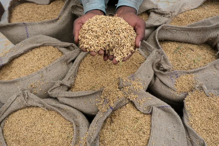 India Allows Rice Exports to Singapore, Sidestepping Sales Curbs