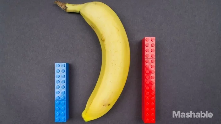 How big is the average penis? Let's compare with household objects.