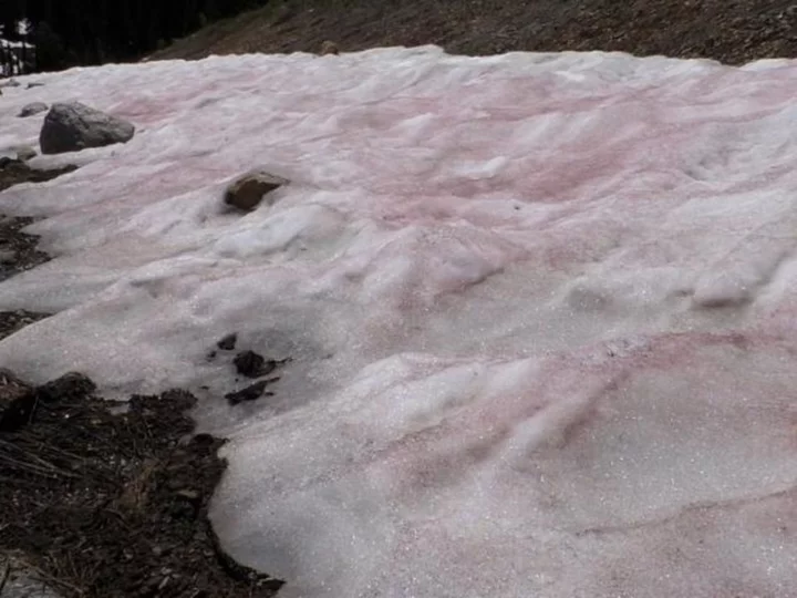 What is 'watermelon snow'? The phenomenon turning Utah's mountains pink and red