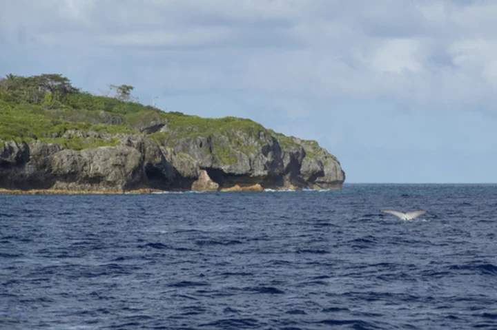 Sponsor an ocean? Tiny island nation of Niue has a novel plan to protect its slice of the Pacific