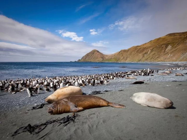 Australia to triple size of protected marine park to area larger than Germany