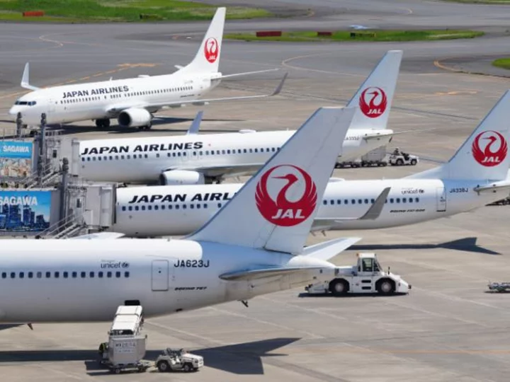'The middle seat was the toughest': Japan Airlines adds extra flight to carry heavy sumo wrestlers