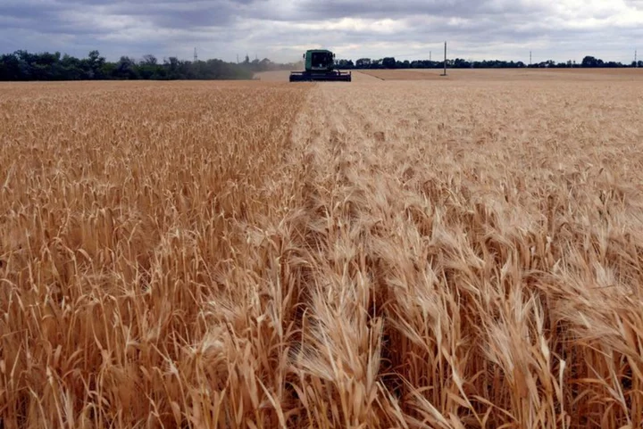UN says ideas 'floated' on how to get Ukraine, Russia grain to world