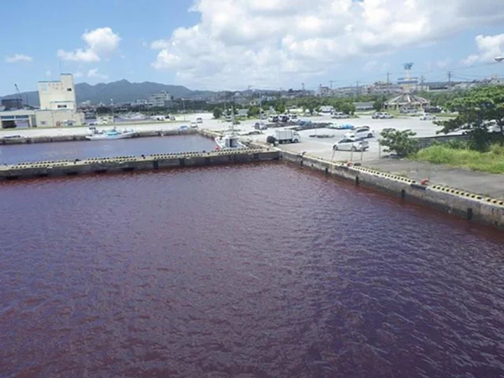 Brewery leak turns sea red in Japan