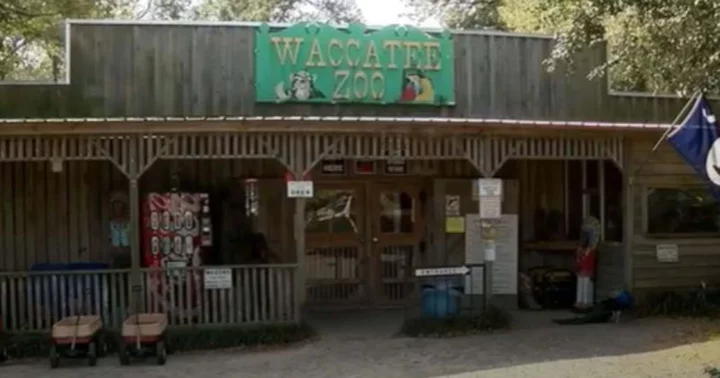Did Waccatee Zoo abuse animals? Myrtle Beach establishment to remain closed permanently following PETA lawsuit