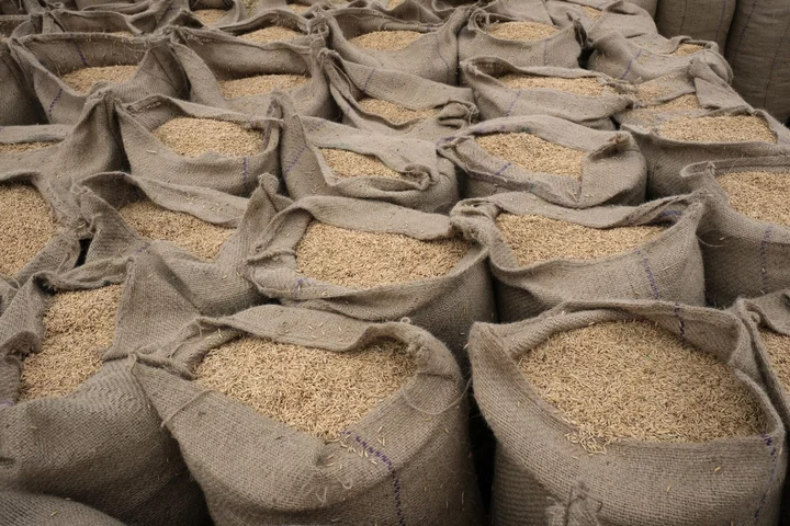 India Bans Non-Basmati White Rice Exports to Check Local Prices