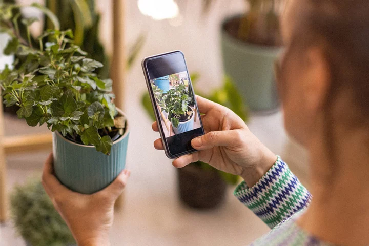 Pay only $15 for lifetime access to this AI gardening app
