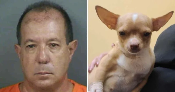 Florida man arrested for posing as vet and performing fatal C-section on pregnant dog on August 11