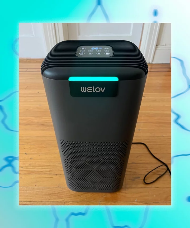 This Welov Air Purifier Is Essential For End-Times Air Pollution — & This Large-Room Model Is On Sale