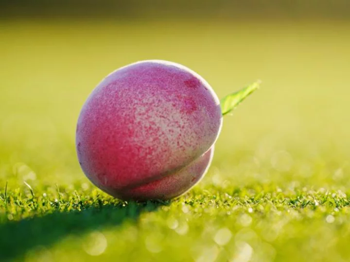 More than 90% of the Peach State's peaches were lost this year after extreme winter weather