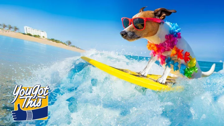 Summer-ready your pet for epic outdoor adventures