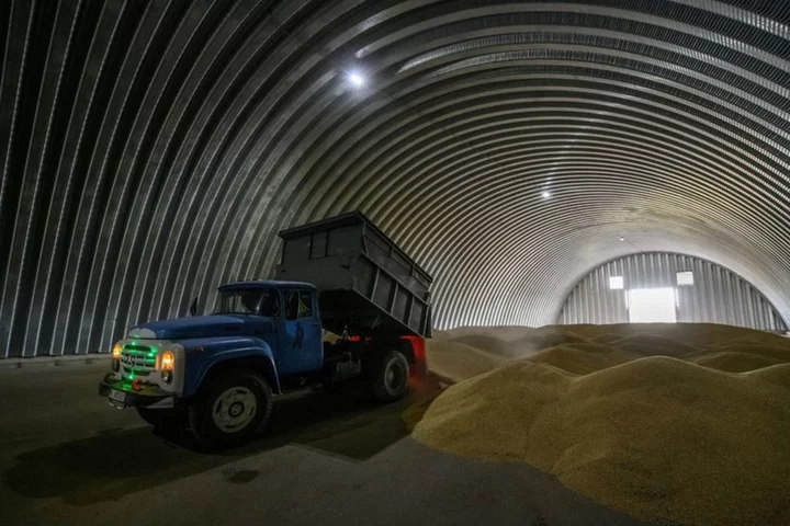US says working to identify alternative paths for Ukraine grain exports