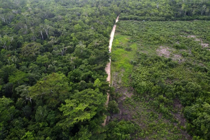 Reclaiming land stolen in heart of Guatemalan reserve