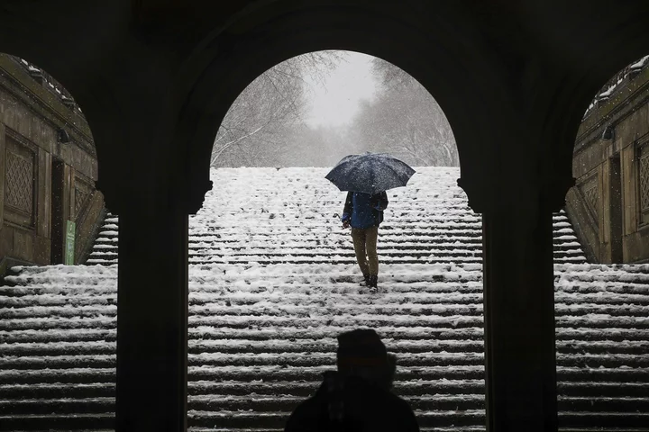 NYC Should Brace for Snow's Comeback Despite El Niño-Fueled Mild Winter