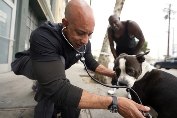 Nearly 1/3 of the US homeless population lives in California. This veterinarian cares for the pets