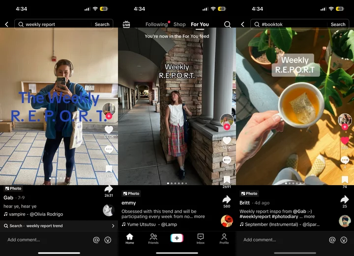 Your weekly TikTok R.E.P.O.R.T. is just more self-surveillance