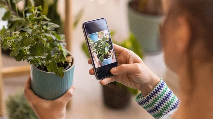 A lifetime subscription to this AI gardening app is on sale for under £20
