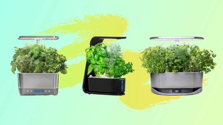 Deals on AeroGarden kits are perfect for plant moms