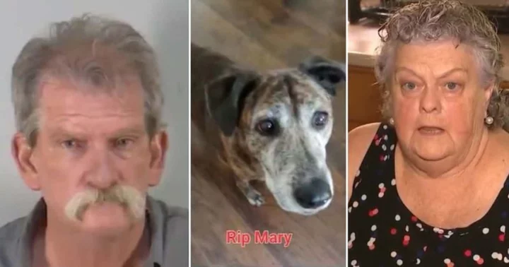 Florida man, 65, arrested for shooting neighbor’s dogs and killing one of them on July 22