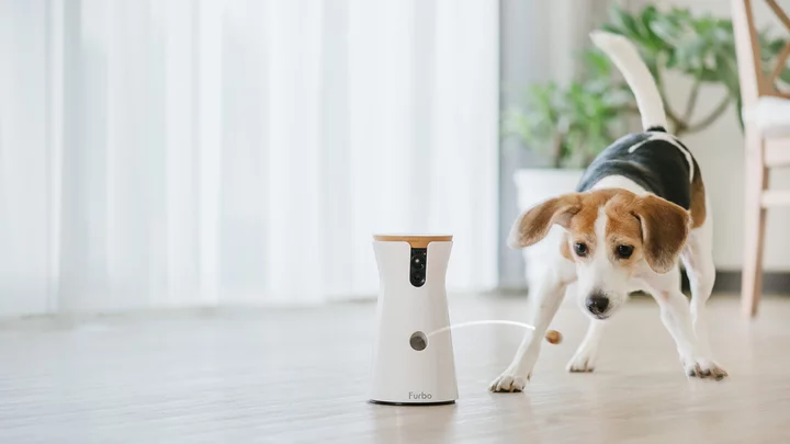 The Best Pet Cameras for 2023