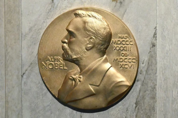 Nobel Prizes to illuminate bleak year for world peace