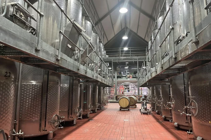 South Africa's Power Blackouts Are Crippling Its 300-Year Old Wine Industry